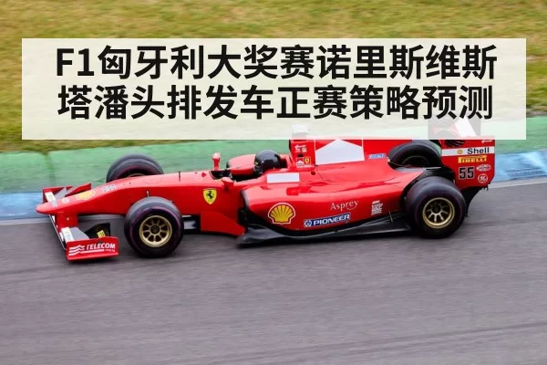 F1匈牙利大奖赛诺里斯维斯塔潘头排发车正赛策略预测