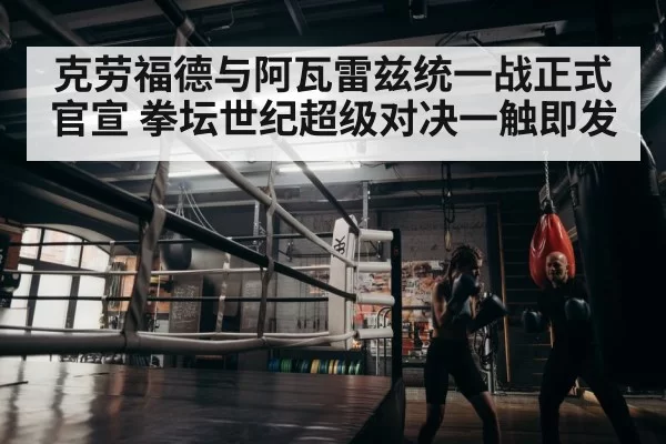 boxer training in gym